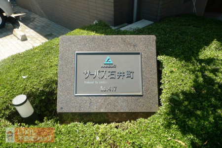 ̑@̑