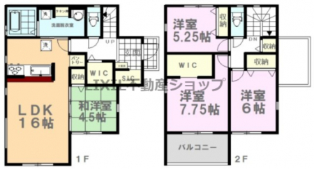 �@�y���}�z���}�ł��B