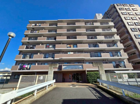 ���n�O�ώʐ^�@��������A�ʕ��ǍD�ł������󕨂��[���܂ł������芣�������Ƃ��ł��܂��B