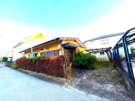 ���n�y�n�ʐ^�@���g���ȕ����ɋ���������������񂲌�����������