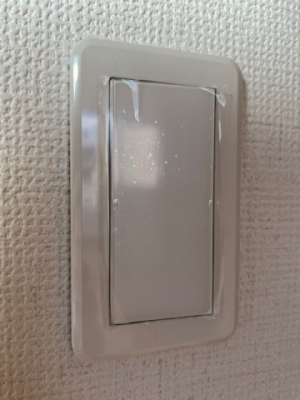 ���̑��@�������C�h�X�C�b�`�i�ʐ^�͓��d�l�ʐ^�j