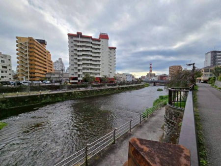 ���̑��@���̑�