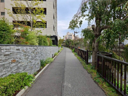 ���̑��@���̑�