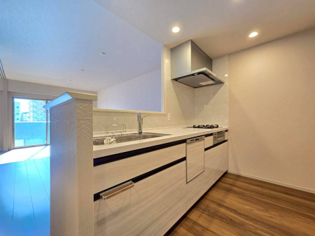 �L�b�`���@LDK�����n����Ζʎ��L�b�`���B�H��􊣑��@�E�f�B�X�|�[�U�[�����B