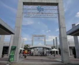 ���ӊ��@�y�V���b�s���O�Z���^�[�z�C���^�[�p�[�N�V���b�s���O�r���b�W�܂�3070��