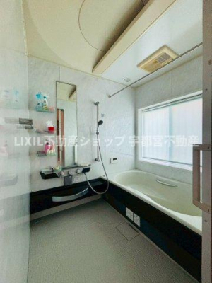 �����@�y�����z���n�ʐ^�F���邢�������̓��闁���͂�Ƃ�̍L���ł�