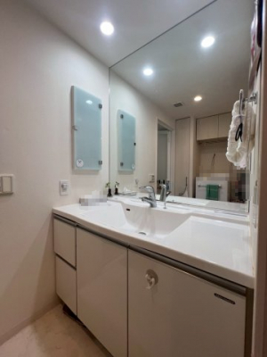 ���ʑ�E���ʏ��@�傫�ȋ�������X�^�C���b�V���Ȑ��ʉ��ϑ�B