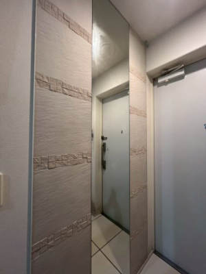 ���̑��@���֎p���ƃG�R�J���b�g�i�������ŁA�������ʂ�����܂��j