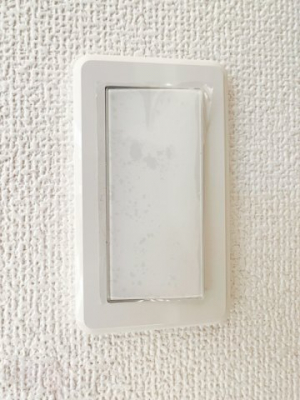 ���̑��@�������C�h�X�C�b�`�i�ʐ^�͓��d�l�ʐ^�j