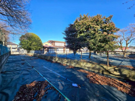 ���n�y�n�ʐ^�@-