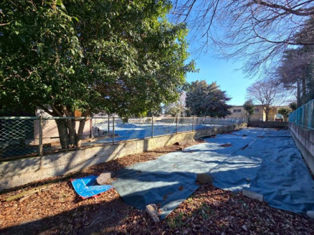 ���n�y�n�ʐ^�@-