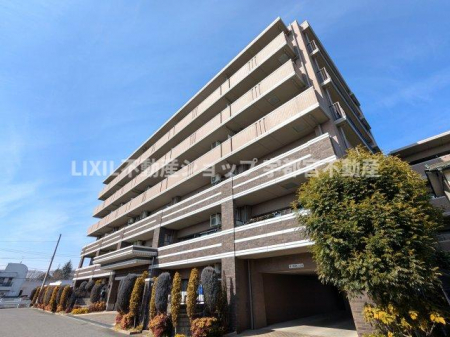 ���n�O�ώʐ^�@�Z��X�̒��ł��������L������₷�������ł��B��ɉf����d�����̂���t�H�����B