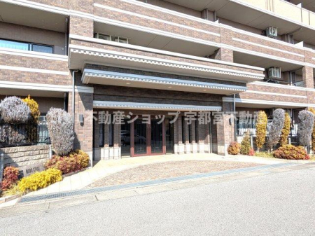 �@�}���V���������