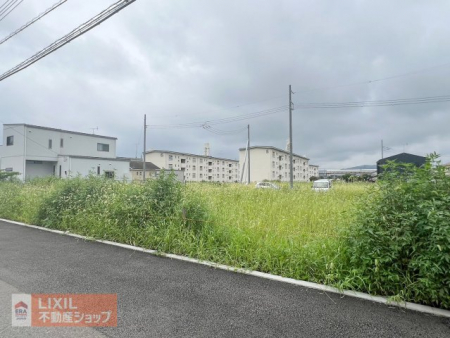 ���n�O�ώʐ^�@�y���n�ʐ^�z���z���B���ԏ����3��\�@�S��������̓�������̗ǂ����Ƃł��B