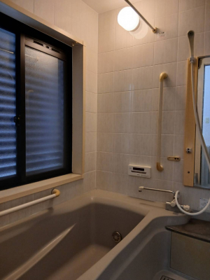 �����@�y���C�^���n�ʐ^�z���̂������邢�����B���̂܂܎g�p�ł��܂����A���t�H�[���v����������Ă������܂��B