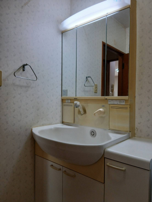 ���ʑ�E���ʏ��@�y�������ʉ��ϑ�^���n�ʐ^�z�O�ʋ��^�C�v�̓Ɨ����ʑ�ł��B���̗��͎��[�ɂȂ��Ă���A�֗��ł��B