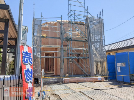 ���n�O�ώʐ^�@�y���n�ʐ^�z���z���B