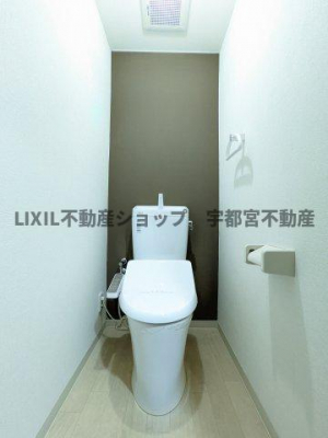 �g�C���@���n�ʐ^